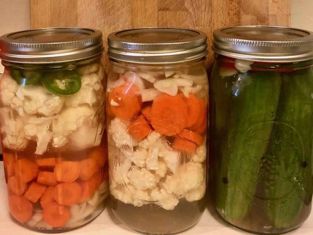 Lacto-fermented vegetables in mason jars: including fermented carrots, escabeche, lacto-fermented pickles