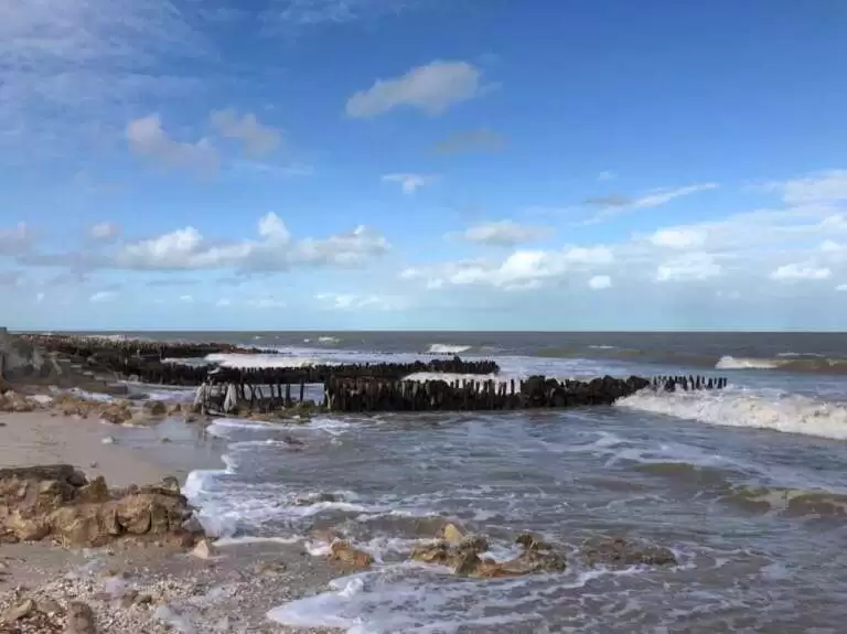 Types of Magnesium: Which one is for you?