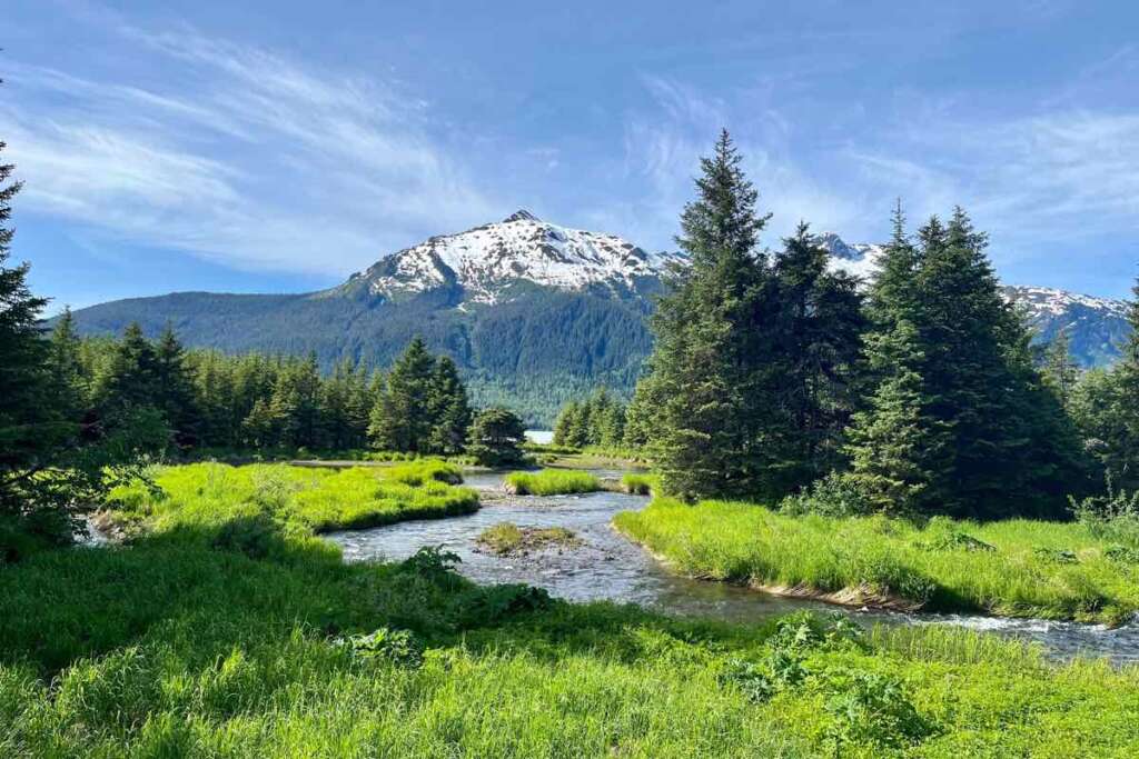 a beautiful snow capped mountain with spruce trees and a stream in front of it shows us that nature will help bring our body into balance and release toxins